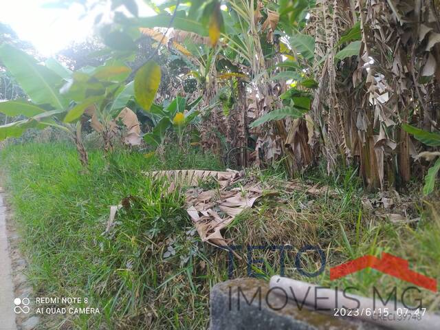 Terreno para Venda em Belo Horizonte - 4