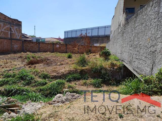 #113 - Terreno para Venda em Belo Horizonte - MG - 3