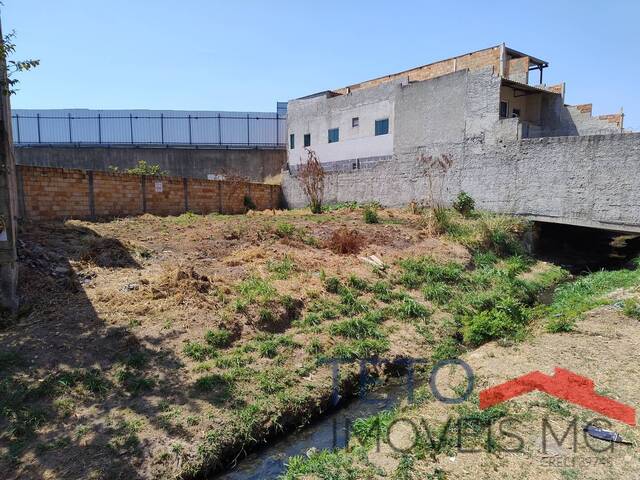 Terreno para Venda em Belo Horizonte - 4